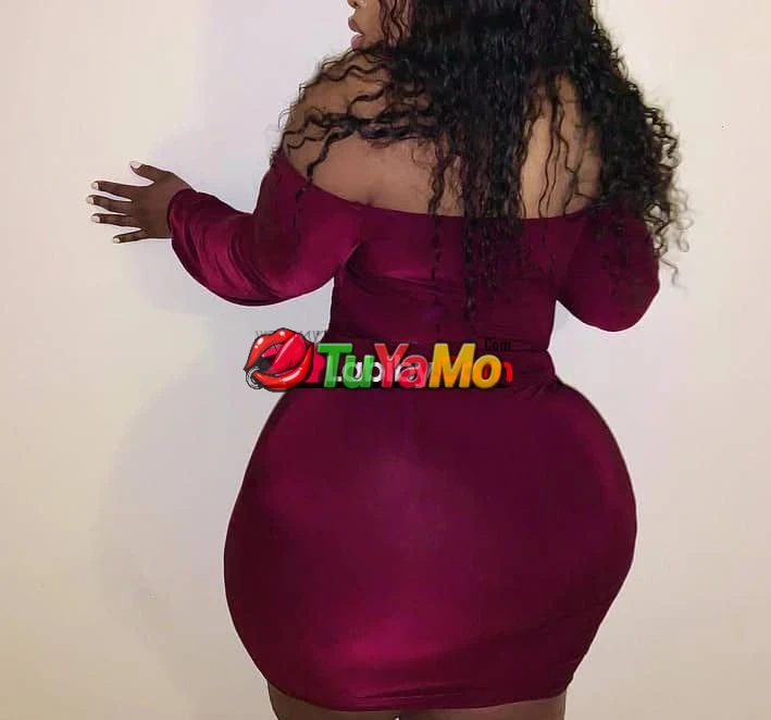 La colombe ronde bien dodu - https://tuyamo.com - 3