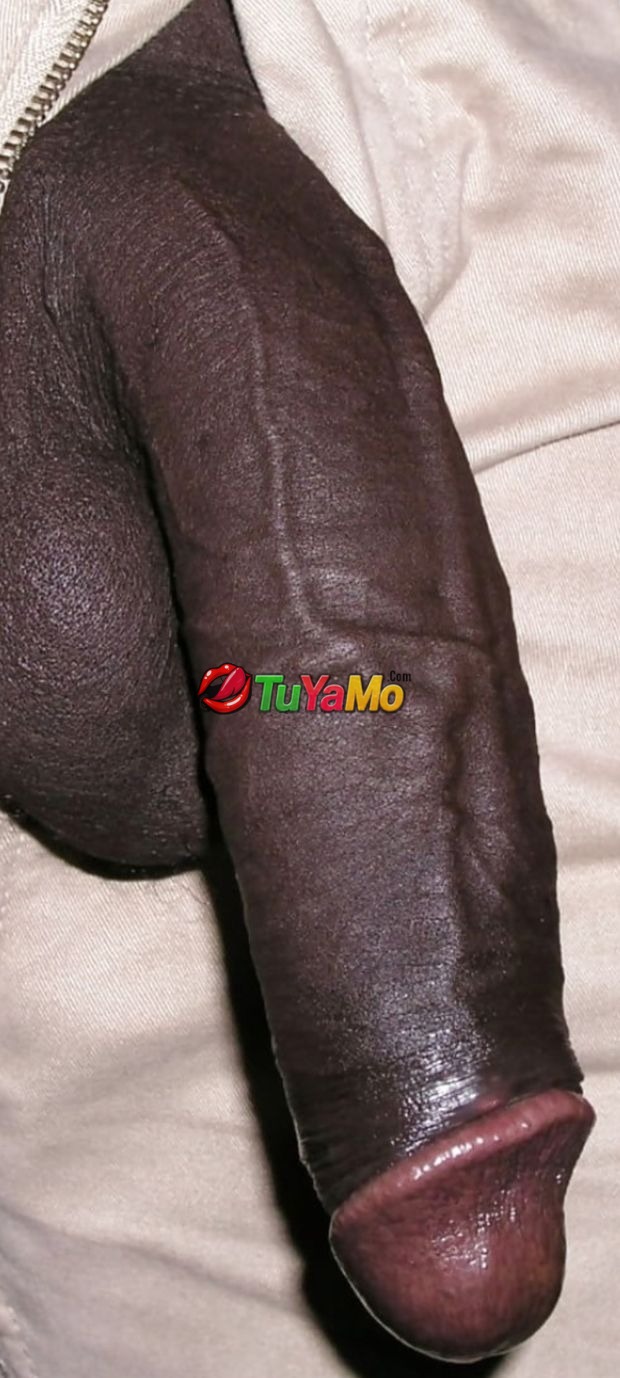 Ma grosse et longue queue n'attend que toi 🍆 - 2